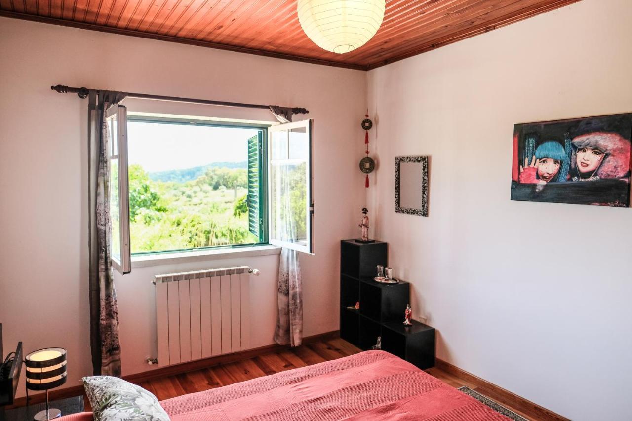 Apartamento A Casa Do Olival - Zona Castelo Do Bode-Tomar Barreira Grande Exterior foto